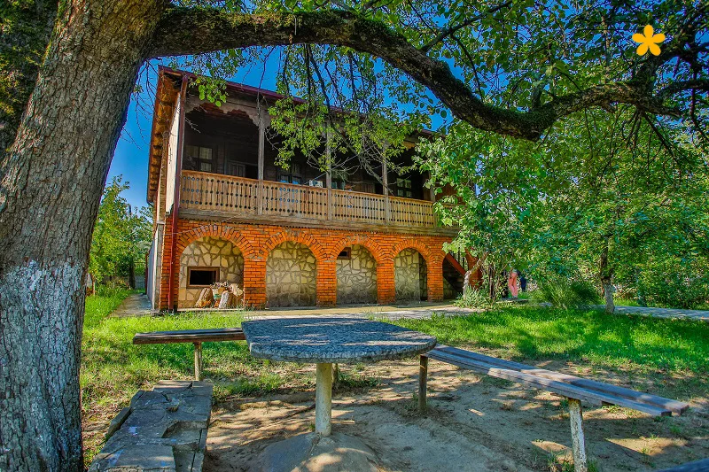 Ushangi Chkheidze House-Museum